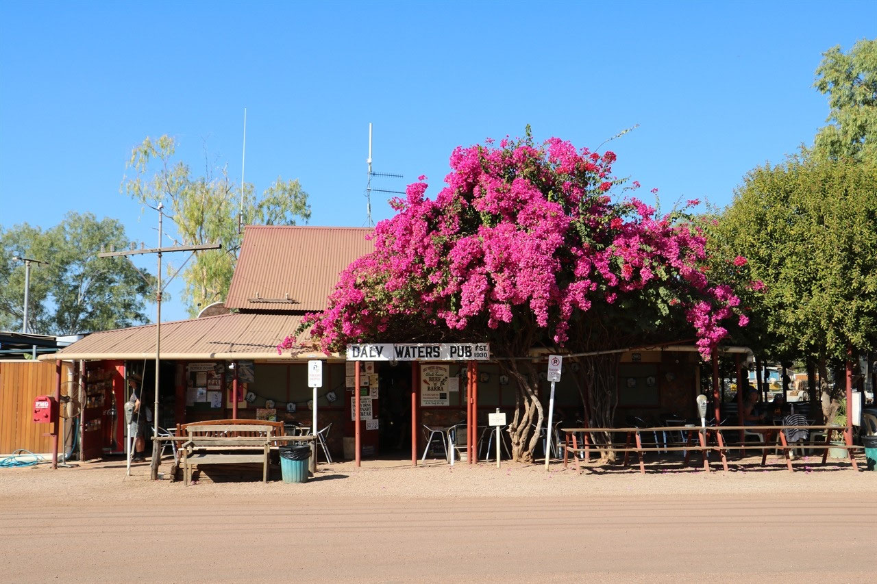 Another visit to the 'Quirky Pub' at Daly Waters