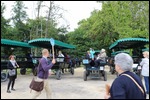 Getting ready for our horse & cart ride