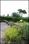 Barbara's back garden