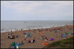 Widemouth Bay swimmers