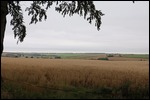 Farming at Binbrook 