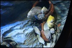The eels were horrible