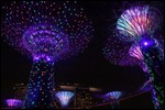 More clicks at the Rhapsody Light Show