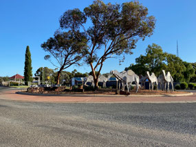 The iconic camels at the roundabout on the highway