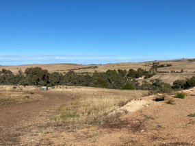 Imagine this view when its green!
