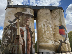 Wirrabara Silo Art