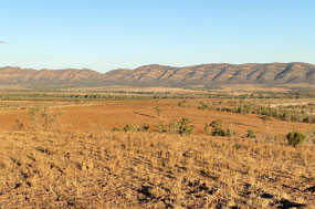 Chace Range near Wilpena Pound