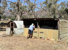 Checking at the Chook Pen Wilpena Homestead