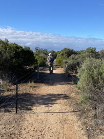 Where will this track lead to?  Always following!