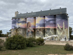 The beautiful Kimba silo art