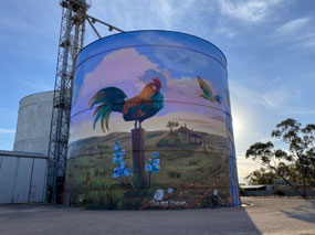 The two Pamela Joan's love this rooster