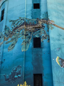 But in Edithburgh it is about the sea dragon