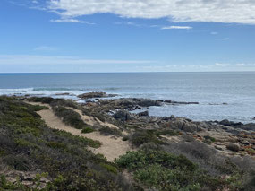 Coastline at Corny Point