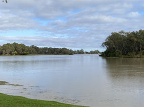 leaving the Murray River at Renmark