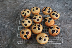 Thermo out and muffins for morning tea