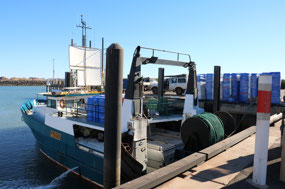 Fishing boat getting ready to go out