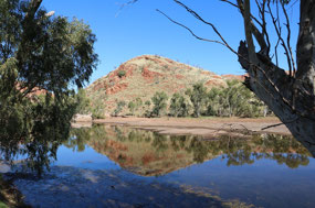 Reflections at Chinaman Pool