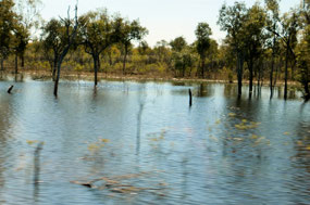 Water still lying on edge of Gt Northern Highway