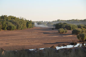 It wasn't condensation nor mist, it was smoke!