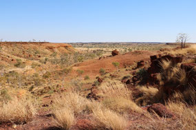 Ngumban Lookout for morning tea
