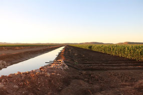 Irrigation channels