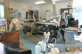 The Laboratory