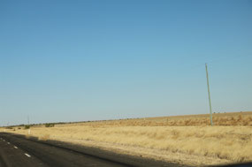 Tumbleweed piling up on fence
