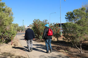 A morning nature walk