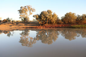 Very nice reflection on Thomson River