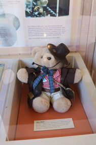 'Baree Banjo' Tambo teddy