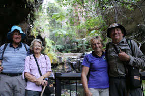 Four Bush Walkers in Moss Garden