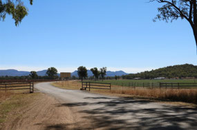 Looking across farmland to CNP
