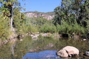 View one way from Carnarvon Creek