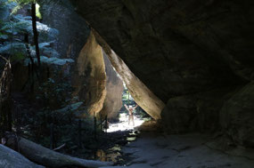 Wards Canyon