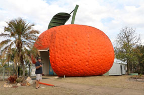 The BIG Mandarin only gets 4/10