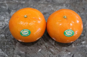 Two mandarins from the CP get 10/10