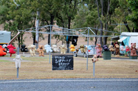 Teddies for a donation to MND at Biggenden