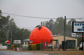 The 'Big Orange' at Gaynday
