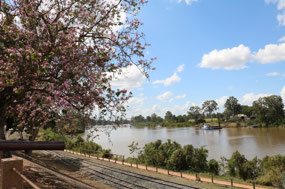 Looking up the Mary River
