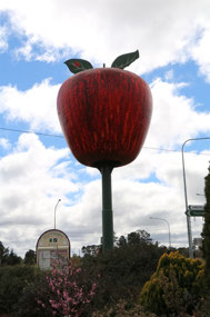 The Big Apple at Thulimbah