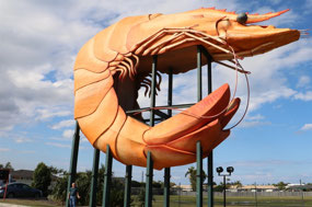Pete and the BIG Prawn