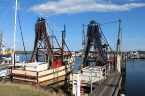 Trawlers
