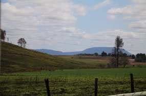 Vista at Tabulam-waiting to cross bridge