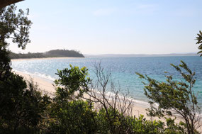 First photo of Nelson Head