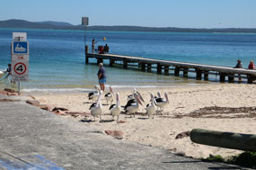 Little Bay
