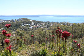 Spectacular colour on Gan Gan Lookout