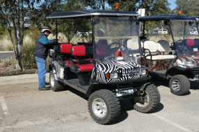Our electric cart for the day