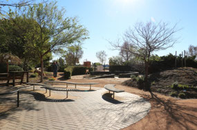 Sensory Garden