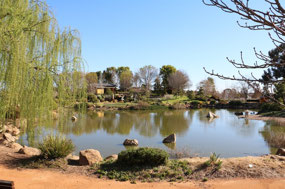 Shoyoen Japanese Gardens