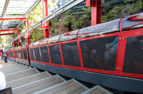 The new train at Scenic World